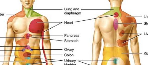 La manipolazione viscerale influenza gli outcome nel LBP?